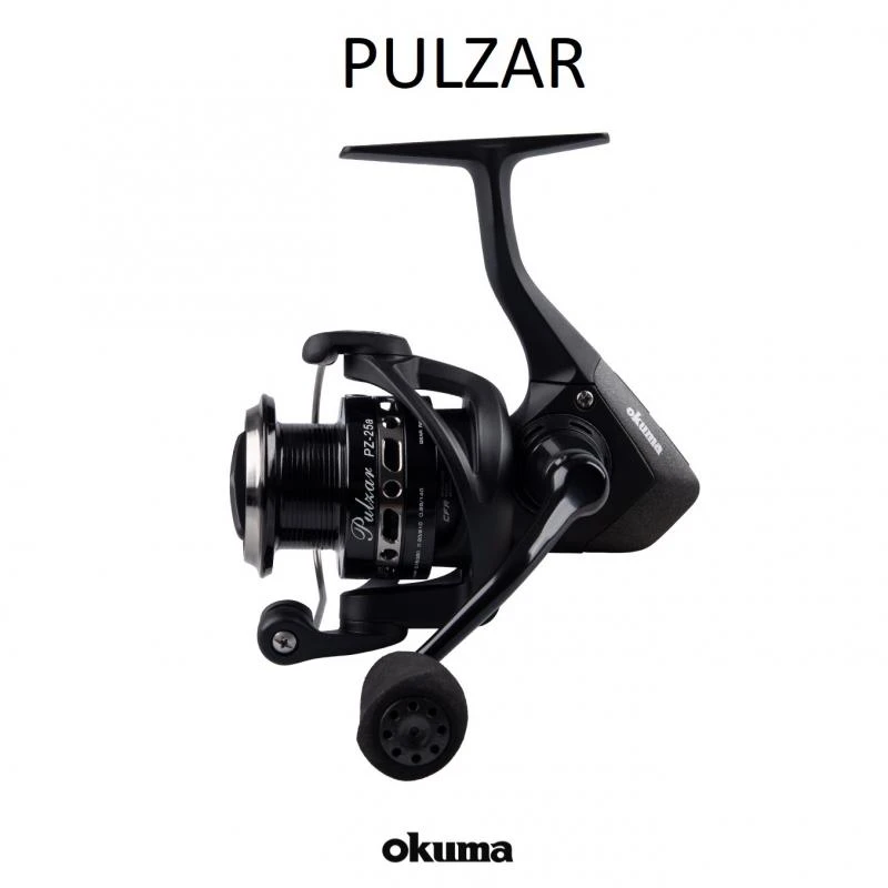 PULZAR 6 Rolamentos