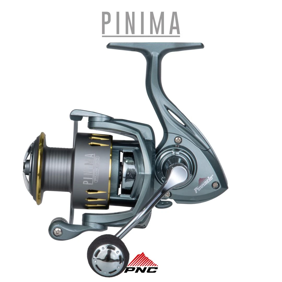PINIMA - Pinnacle 7 Rolamentos